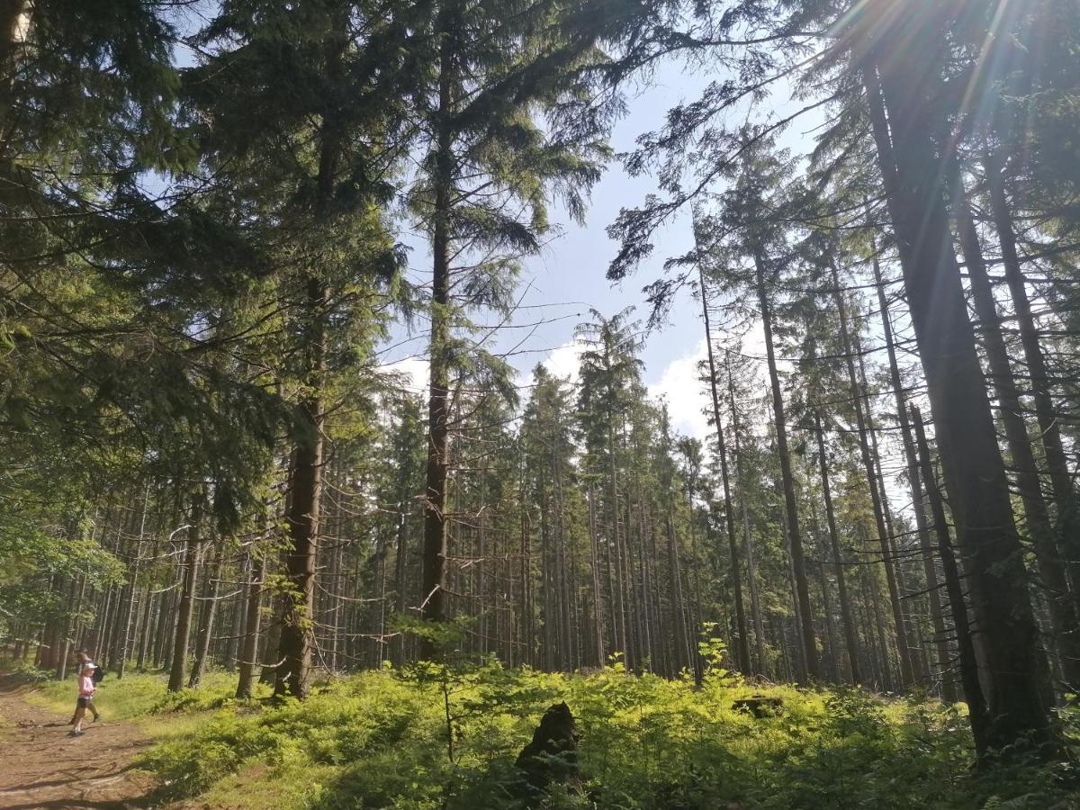 Zakatek Dorimaks Apartamento Zawoja Exterior foto