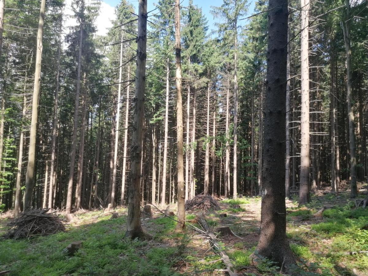 Zakatek Dorimaks Apartamento Zawoja Exterior foto